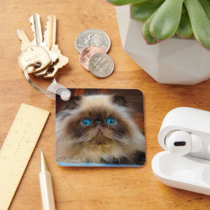 Cutest Baby Animals   Himalayan Cat Key Ring