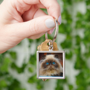 Cutest Baby Animals Himalayan Cat Key Ring