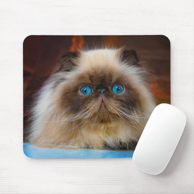 Cutest Baby Animals | Himalayan Cat Mouse Mat (With Mouse)