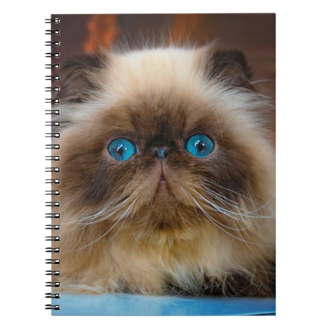 Cutest Baby Animals | Himalayan Cat Notebook (Front)