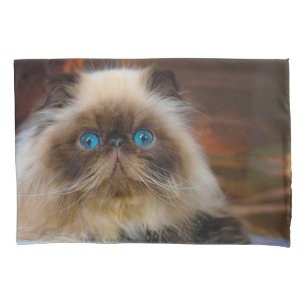 Cutest Baby Animals   Himalayan Cat Pillowcase