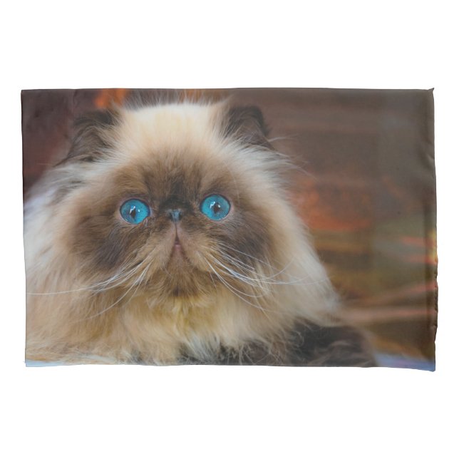 Cutest Baby Animals | Himalayan Cat Pillowcase (Front)