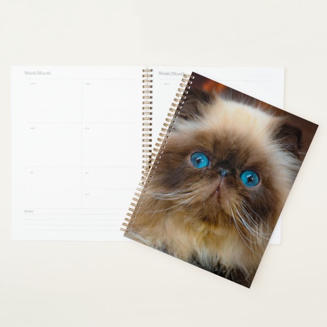 Cutest Baby Animals | Himalayan Cat Planner (Display)