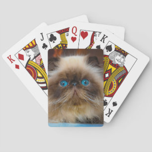 Cutest Baby Animals Himalayan Cat Playing Cards