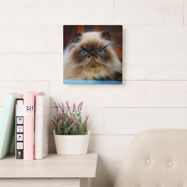 Cutest Baby Animals | Himalayan Cat Square Wall Clock (Reading Room)