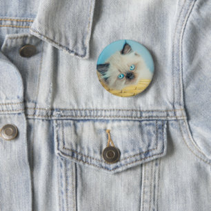 Cutest Baby Animals Himalayan Seal Point Cat 6 Cm Round Badge