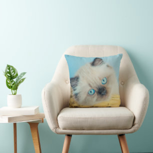 Cutest Baby Animals   Himalayan Seal Point Cat Cushion