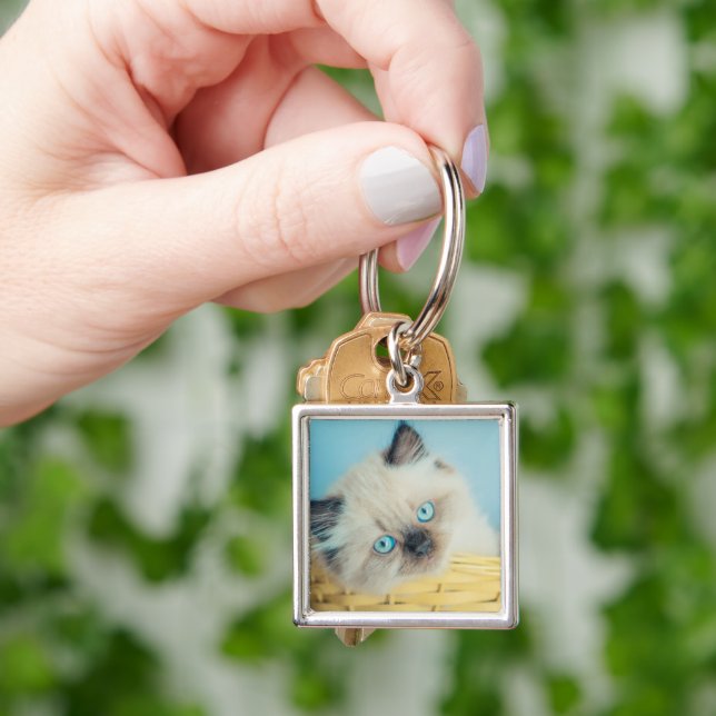 Cutest Baby Animals | Himalayan Seal Point Cat Key Ring (Hand)