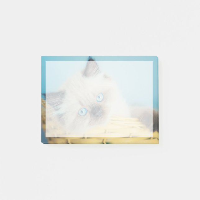 Cutest Baby Animals | Himalayan Seal Point Cat Post-it Notes (Front)
