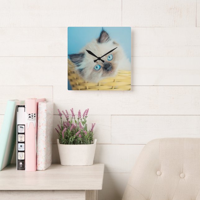 Cutest Baby Animals | Himalayan Seal Point Cat Square Wall Clock (Reading Room)