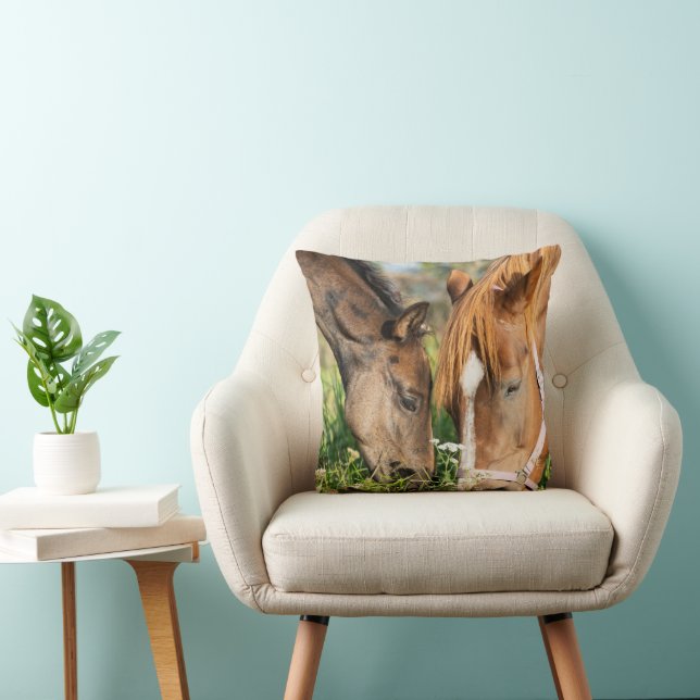 Cutest Baby Animals | Horse Colt Cushion (Chair)