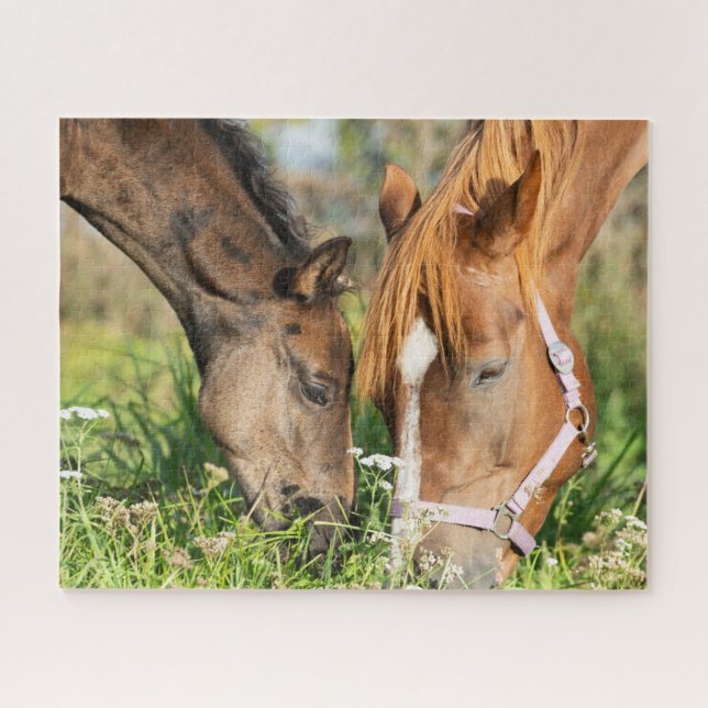 Cutest Baby Animals | Horse Colt Jigsaw Puzzle (Horizontal)