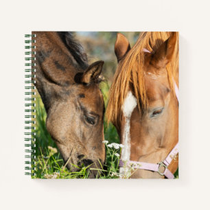 Cutest Baby Animals Horse Colt Notebook