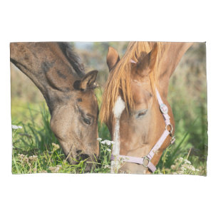 Cutest Baby Animals   Horse Colt Pillowcase