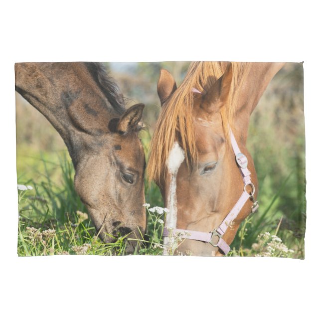 Cutest Baby Animals | Horse Colt Pillowcase (Front)