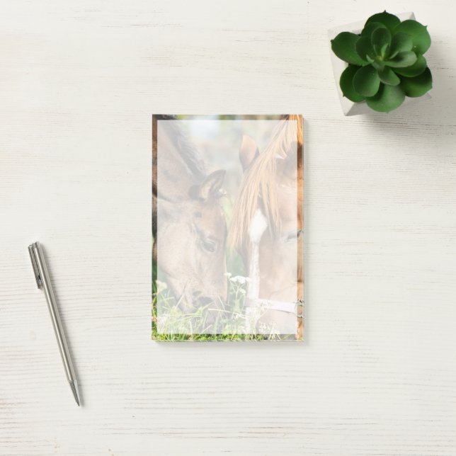 Cutest Baby Animals | Horse Colt Post-it Notes (Office)