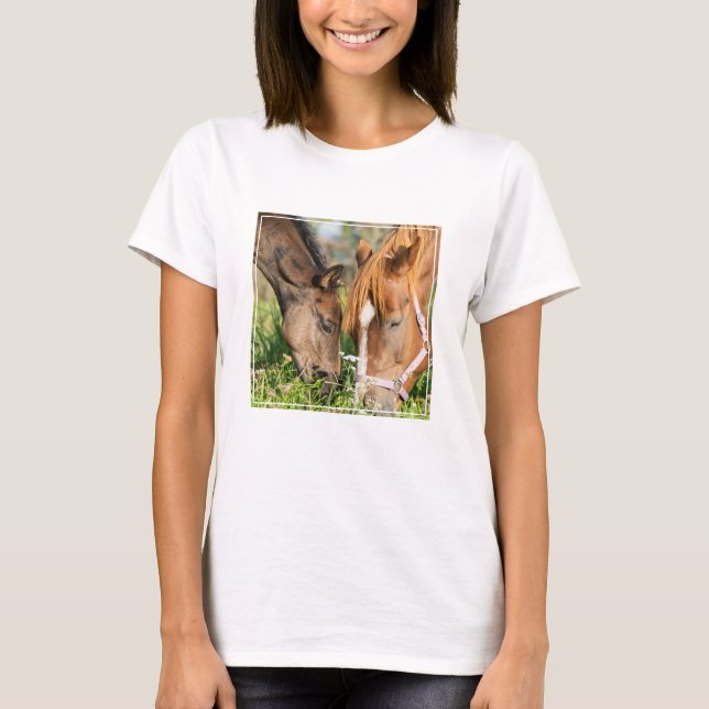 Cutest Baby Animals | Horse Colt T-Shirt (Front)