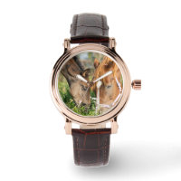 Cutest Baby Animals | Horse Colt