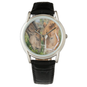 Cutest Baby Animals   Horse Colt Watch