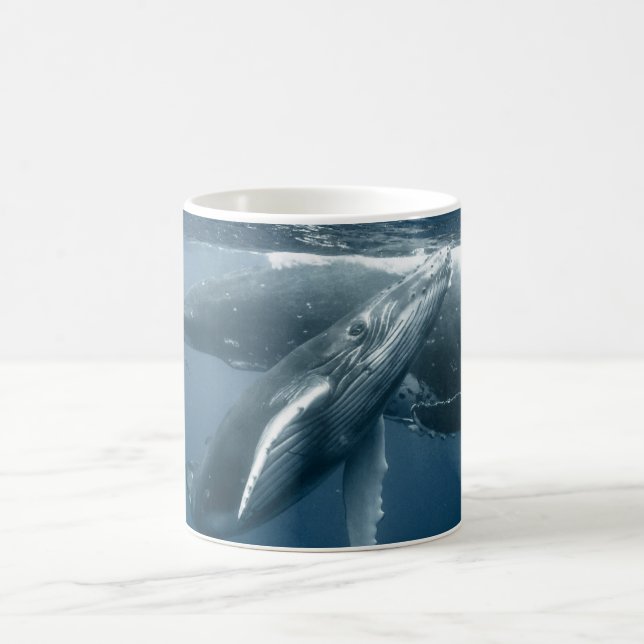 Cutest Baby Animals | Humpback Whale Calf Coffee Mug (Center)
