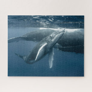 Cutest Baby Animals   Humpback Whale Calf Jigsaw Puzzle
