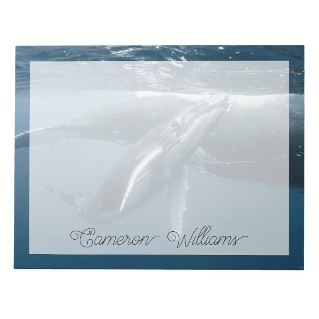 Cutest Baby Animals | Humpback Whale Calf Notepad (Front)
