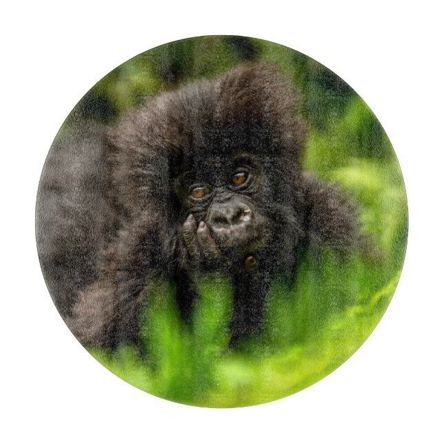 Cutest Baby Animals | Infant Mountain Gorilla Cutting Board (Front)