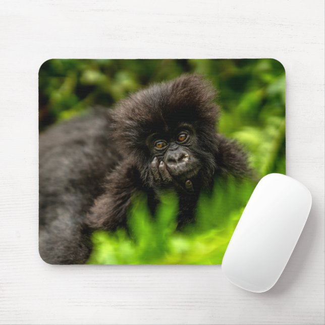 Cutest Baby Animals | Infant Mountain Gorilla Mouse Mat (With Mouse)