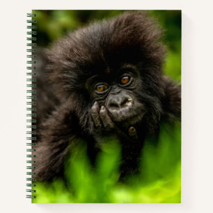 Cutest Baby Animals   Infant Mountain Gorilla Notebook