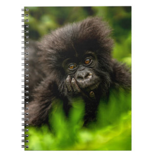 Cutest Baby Animals   Infant Mountain Gorilla Notebook