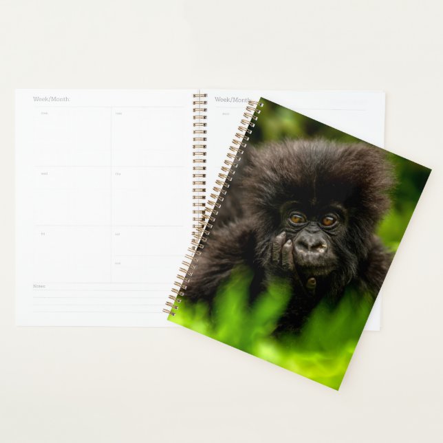 Cutest Baby Animals | Infant Mountain Gorilla Planner (Display)