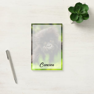 Cutest Baby Animals   Infant Mountain Gorilla Post-it Notes