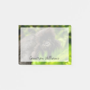 Cutest Baby Animals   Infant Mountain Gorilla Post-it Notes