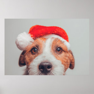 Cutest Baby Animals   Jack Russell Dog Santa Claus Poster