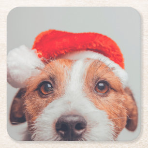 Cutest Baby Animals   Jack Russell Dog Santa Claus Square Paper Coaster