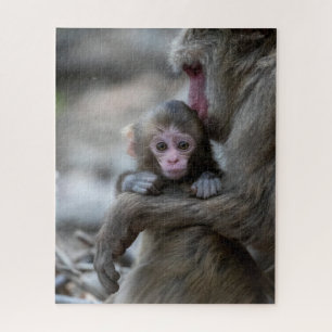 Cutest Baby Animals   Japanese Monkey & Baby Jigsaw Puzzle