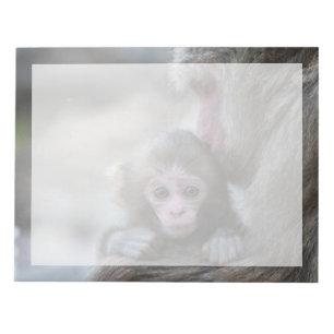Cutest Baby Animals   Japanese Monkey & Baby Notepad