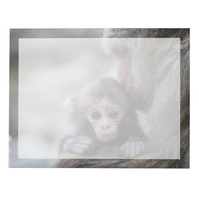 Cutest Baby Animals | Japanese Monkey & Baby Notepad (Front)