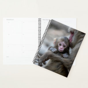Cutest Baby Animals Japanese Monkey & Baby Planner
