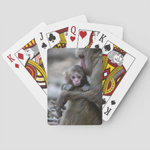 Cutest Baby Animals   Japanese Monkey & Baby Playing Cards