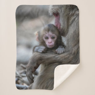 Cutest Baby Animals   Japanese Monkey & Baby Sherpa Blanket