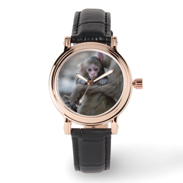 Cutest Baby Animals | Japanese Monkey & Baby Watch (Front)