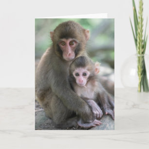 Cutest Baby Animals Japanese Monkeys Card