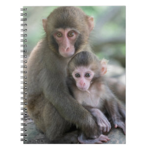 Cutest Baby Animals   Japanese Monkeys Notebook