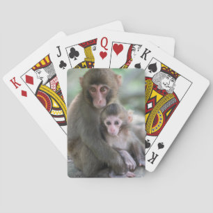 Cutest Baby Animals Japanese Monkeys Playing Cards