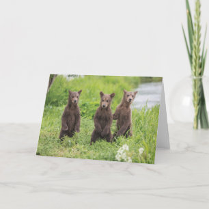 Cutest Baby Animals   Kamchatka Brown Bear Cubs Card