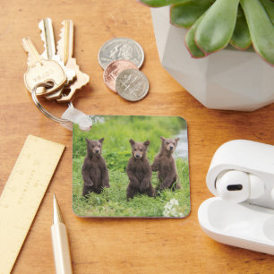 Cutest Baby Animals   Kamchatka Brown Bear Cubs Key Ring