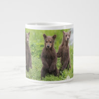 Cutest Baby Animals | Kamchatka Brown Bear Cubs