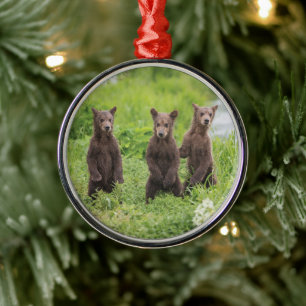 Cutest Baby Animals Kamchatka Brown Bear Cubs Metal Tree Decoration