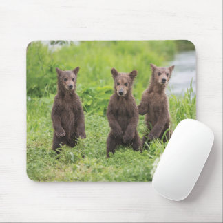 Cutest Baby Animals | Kamchatka Brown Bear Cubs Mouse Mat